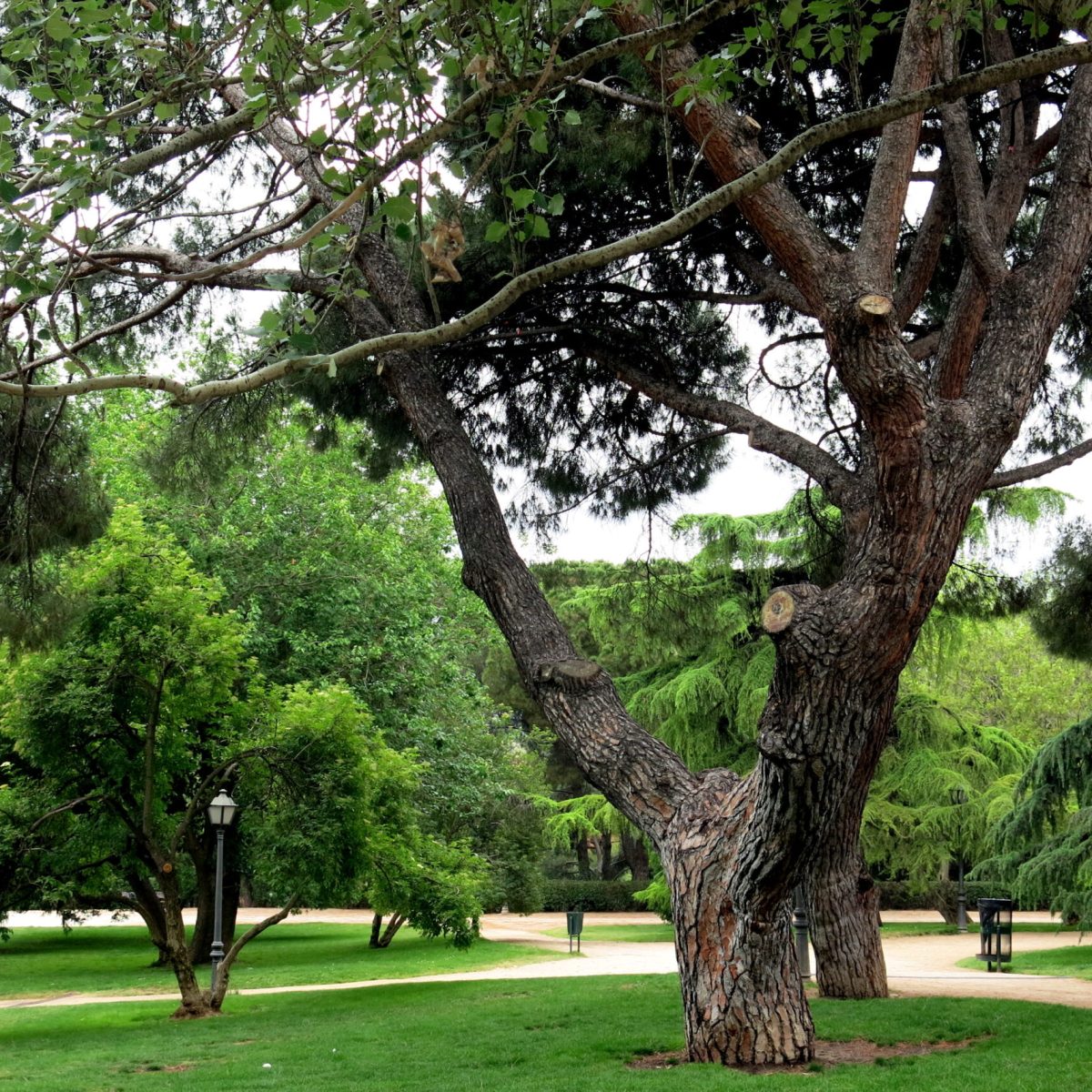 Parque del Oeste